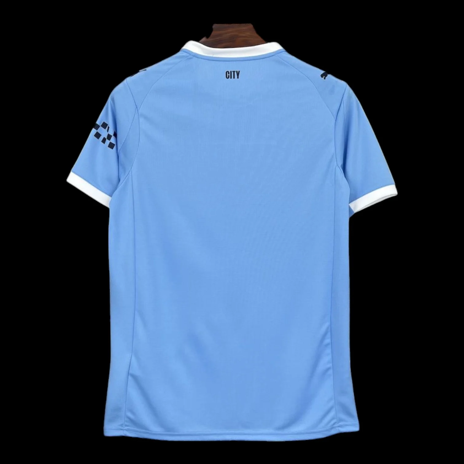 Vue arrière Palmeiras Maillot Gardien 2526
